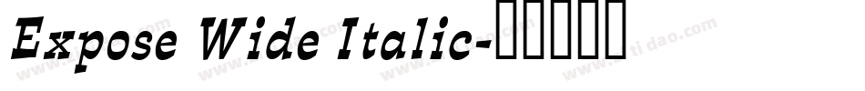 Expose Wide Italic字体转换